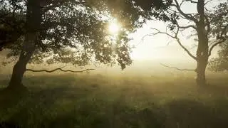 Enoch Ebadu -  la m&eacute;ditation acoustique en plein air, sous le soleil.
