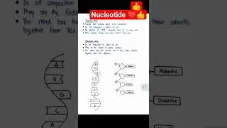 nucleotide metabolism #neet #nucleotides #biology #biochemistry #notes