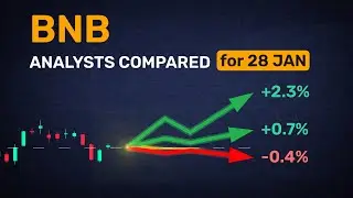 Is there a consensus? BNB forecast in 1 day