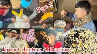 Hornet hunting part-2 At baglung  #wasp #hornet #hunting  #fypシ #de2pak