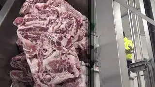 NetCan: Meat Processing Line