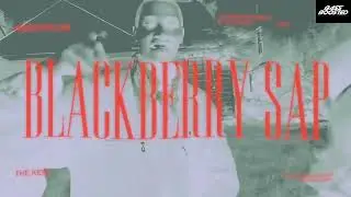 Blackberry Sap (Bass Boosted Surround Sound) Prem Dhillon | Punjabi Song | Spatial Audio
