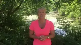 The Historic Alfred Caldwell Lily Pool in Lincoln Park, Chicago   video for 6-2-16
