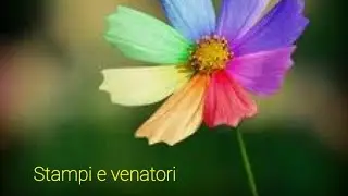 Stampi e venatori fai da te