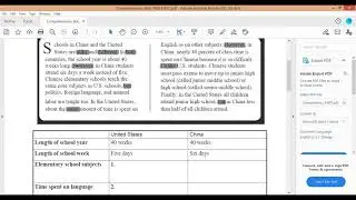 Al-Safi International School.G.6 English literature. ' The All American Slurp''Comprehension skills
