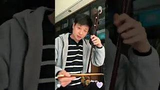 建议大家《良宵》好好练练 揉弦、运弓控制#运弓技巧 #自学二胡 #猛哥讲二胡