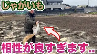 【じゃがいも】米ぬかと〇〇を入れるとさらに育てやすくなります！毎回入れてます
