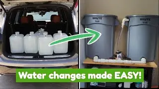 I Created a Water Change Station and You Won't Believe the Results!