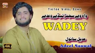 Wah Way Sajanar Tedey Wadey | Tiktok Viral Song | Adeel Sanwal | Official Video | New Song 2026