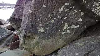 Ozette Triangle Coastal Trail Wedding Rocks petroglyphs - Clallam Bay, Washington Peninsula