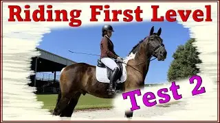 USDF Dressage First Level Test 2 Explained | Full Pattern Ride - Leo Equestrian