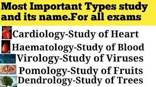 Different types of studies and their Names||Root words with logy||A list of different types of study