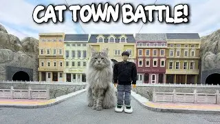 Mr. Nice vs Tutu in Cat Town