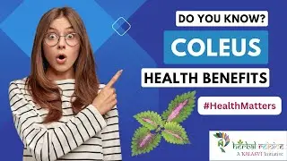 Coleus - Exploring Medicinal Uses and Benefits of Coleus #abdominal #breathing #bloodpressure