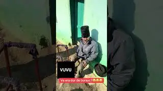 Va era dor de Bursuc #romania #funny #humor