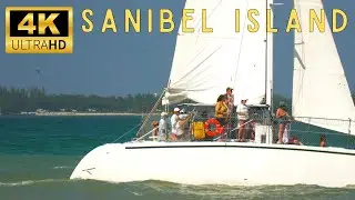 Sanibel: The Island That's Just Too Beautiful