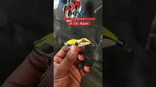 Pexxo Fighter💥 | Best Handmade Frog Lure 📱6282947682 #fishing #shorts #froglure