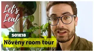 Szoban&ouml;v&eacute;nyek magyar &eacute;s angol nevei, azonos&iacute;t&aacute;sa | Room tour | #LetsLeaf