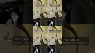 В любое время путешествуем
