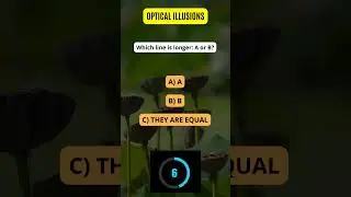 Optical Illusions Unveiled! 🌀👁️ | Explore the Fascinating World of Illusions