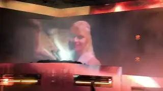 Seven lions live at My LED EVERYDAY USA 2019