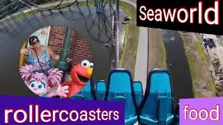 SEAWORLD / DINING PLAN /TGIs FRIDAYS DRINKS