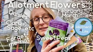 What flower seeds to sow now: February & March