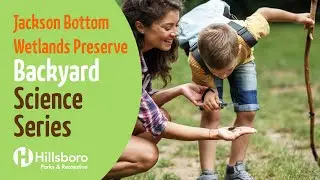 Backyard Science Series -  Competition!