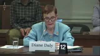 Diane Daly Interview Standing Committee on Public Accounts No 134 Full Meeting