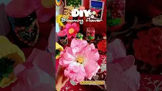 😲DIY Blooming Flower🌺✨#shorts #tissuepaperflower #viralshorts#craftideas #handmade#paperengineering