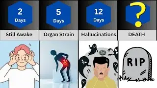 What Happens If You Never Sleep