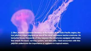 Venomous Wonders: Exploring the World's Deadliest Creatures