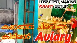 Cheap and low cost aviary making ||finch birds|@SebeerAutocraft2024 @finch