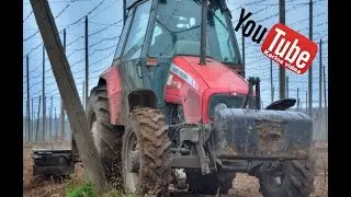Řez chmele 2017 / Cutting Hops / Czech Hops / Top of the Hops / Czech beer