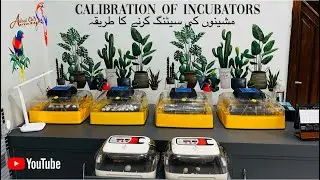 Incubator and Brooders Calibration