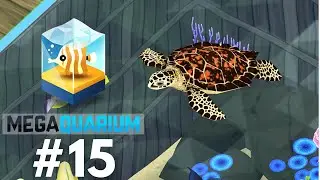 A HAWKSBILL TURTLE AND SOME DECENT FOOD AT LAST - Megaquarium (#15)