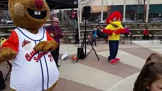 Miss Maggie Sings! The Promenade Shops at Saucon Valley '17 #3