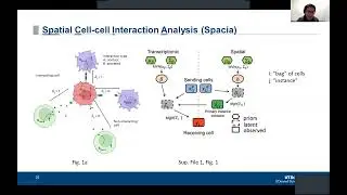 Mapping cellular interactions from spatially resolved transcriptomics data