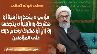 معنى قوله تعالى : ( الزاني لا ينكح إلا زانية أو مشركة  ......) الشيخ حسين الشطري العبودي