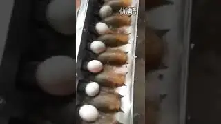 Speed No Damage Egg Washer High Efficiency Preserved Egg Washing Machine For Wire Cleaning Ball