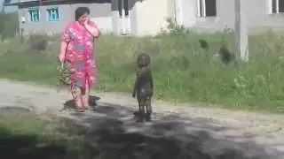 ET' s are real!