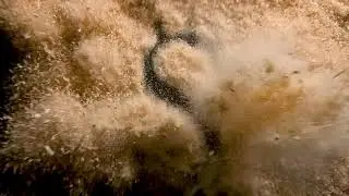 Dust Is No Small Matter