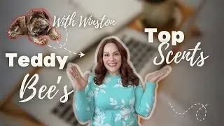 Teddy Bee’s Top Scents 2025