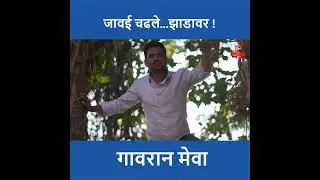 गावरान मेवा SHORTS | Kadak Marathi