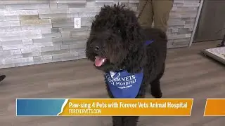 Paw-sing 4 Pets with Forever Vets | River City Live