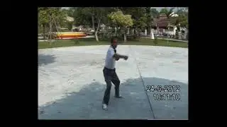 Taichi sanshou A