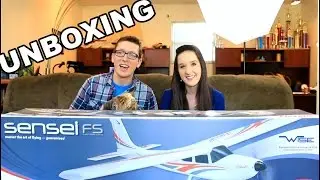 Flyzone Sensei FS First Impressions and Unboxing RTF with WISE Technology - TheRcSaylors