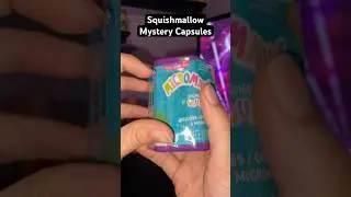 More Squishmallow Mystery Capsules | #unboxing #squishmallows #toy
