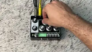 Pedal Reverb Molll Pro