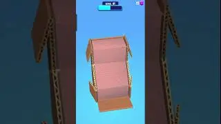 Open Box Level  29